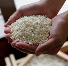 (有)まるみ麹本店