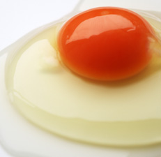 たまごのハラダ